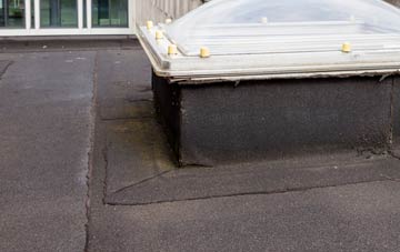 disadvantages of Coedkernew flat roofs