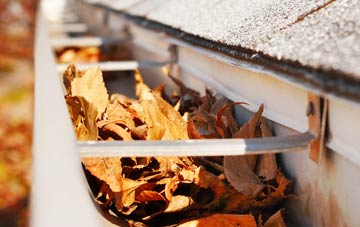 Coedkernew gutter cleaning companies