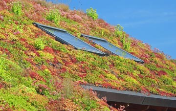 Coedkernew living roof systems