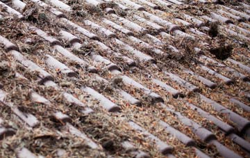 Coedkernew roof cleaning companies