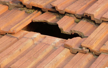 roof repair Coedkernew, Newport