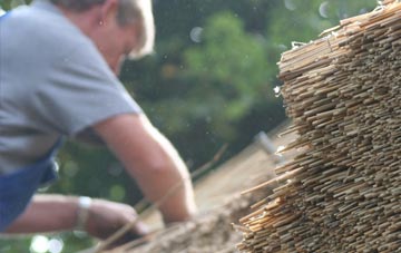 professional Coedkernew thatchers