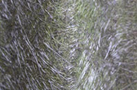 Coedkernew fibreglass roof work